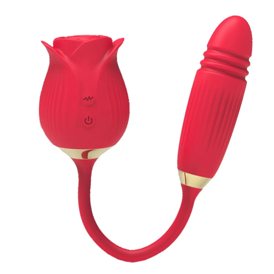 Bloom & Bliss - Dual Rose