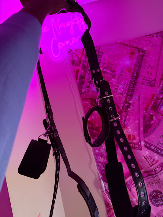 Ecstasy Elevation Swing