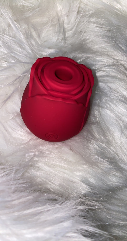 Rose Delight
